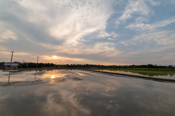 夕暮れどき