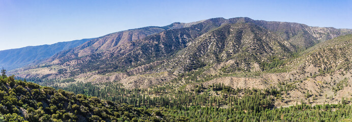 Vast valley and canyon covered in pine trees in the San Bernadino Mountains of southern California.