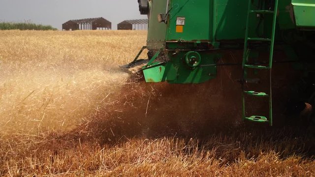 Combine harvester for harvesting wheat. Slow motion
