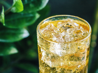 Close-up of a fresh yellow sparkling drink with ice against green nature backgrounds.