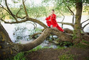 women practicing yoga and tai chi outdoors