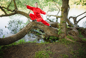 women practicing yoga and tai chi outdoors