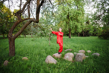 women practicing yoga and tai chi outdoors