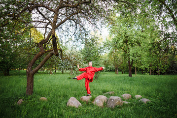 women practicing yoga and tai chi outdoors