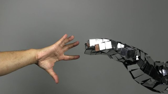 Shake hands with a robot.