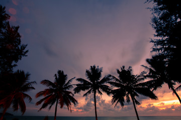 Obraz premium View of the sunset at Mai Khao Beach in Phuket, Thailand