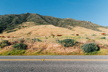 California Roadside