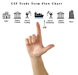 CIF Trade Term Flow Chart.