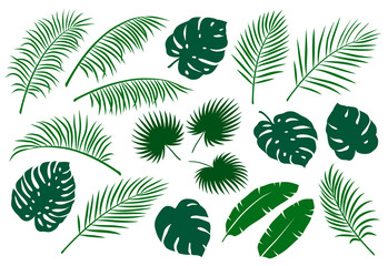set of green palm leaves
