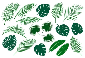 Poster set groene palmbladeren © mallinka1