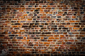 Brick wall for background.