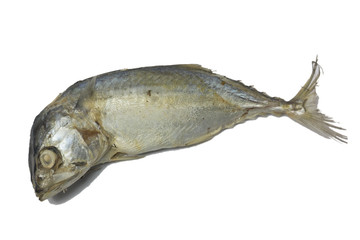 Fresh Mackerel isolate on white
