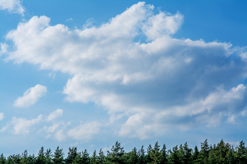 Obraz premium White clouds on the blue sky.
