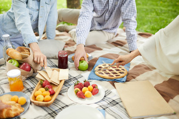 Young woman and man taking snack from picnic tablecloth while mature female cutting blackberry pie