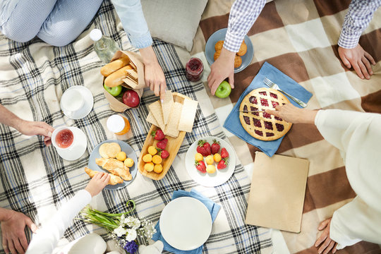 Overview of picnic food served on tablecloth and several humans taking snack