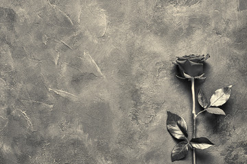 Black rose lies on a dark stone slab