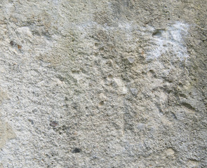 The texture of old concrete.
