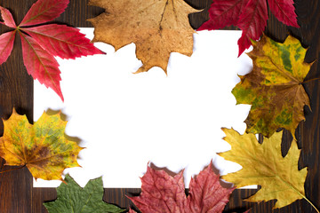 Naklejka na ściany i meble Autumn leaves and white cardboard on brown wooden background