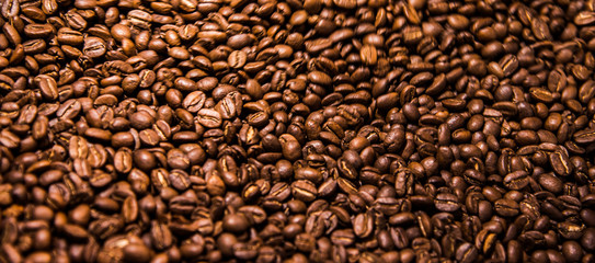 Coffee bean roasted texture background,Selective focus cover background.
