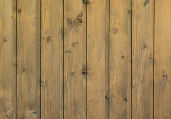 Wood pine texture.
