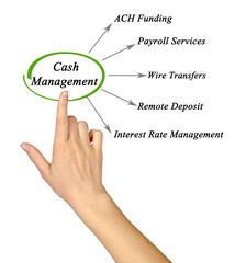 Components of cash Management.