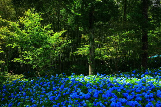 673 Best 男鹿市 Images Stock Photos Vectors Adobe Stock