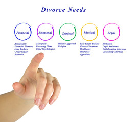 Diagram of Divorce Needs.