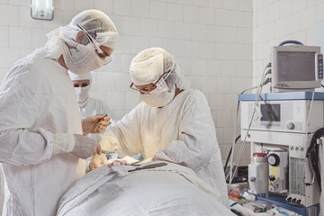 Two surgeons and  nurse in operating room.