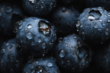 Top view macro shot of fresh blueberry with water drops