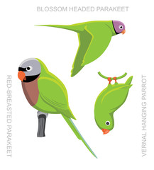 Parrot Asia Cartoon Vector Illustration