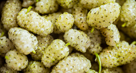 fresh mulberry macro shot