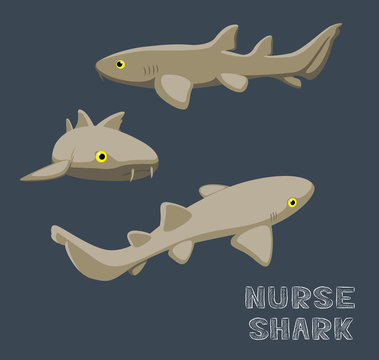Nurse Shark Cartoon Vector Illustration