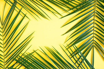 Tropical palm leaf on yellow background. Travel vacation concept. Summer background. Flat lay, top view, copy space 