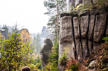 Mountain in the park