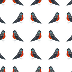 Vector pattern of bullfinch.