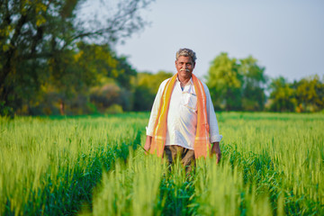 Indian farmer holding crop plant in his Wheat field © Niks Ads