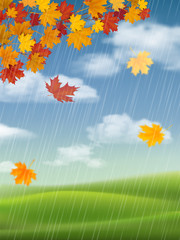 Autumn landscape with a branch of maple and falling leaves. Rainy weather. Vector realistic background.