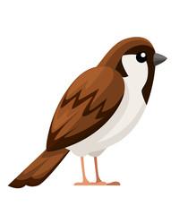 Sparrow bird. Flat cartoon character design. Colorful bird icon. Cute sparrow for world sparrow day. Vector illustration isolated on white background