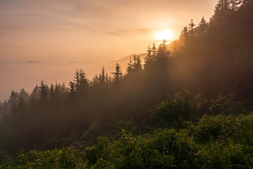 Foggy morning in Alps near Skofja Loka, Slovenia