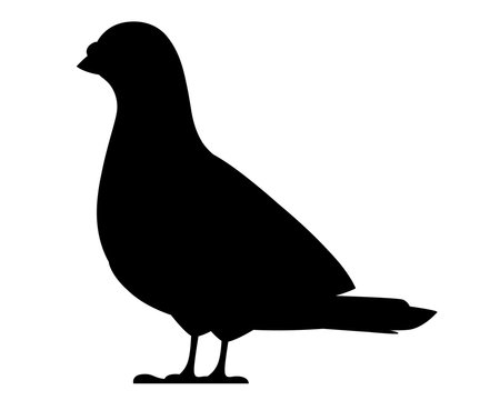 Black silhouette. Pigeon bird. Flat cartoon character design. Black bird icon. Cute pigeon template. Vector illustration isolated on white background