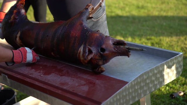 4K chef butcher is cutting the roasted suckling pig