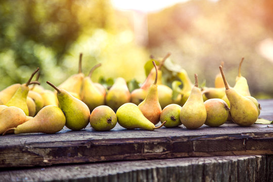 Autumn pears on wood
