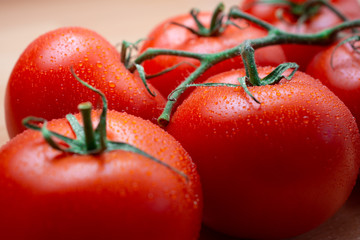 Frische Bio Tomate