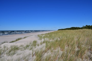 The beach of Bialogora
