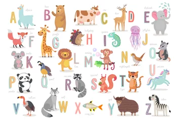 Peel and stick wall murals Daycare Cute Animals alphabet for kids education. Funny hand drawn style characters.