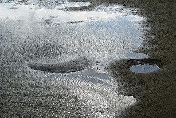 Fototapeta na wymiar Pfützen von Meerwasser bei Ebbe im Sand, Ostseeküste in der Wismarer Bucht bei Zierow 