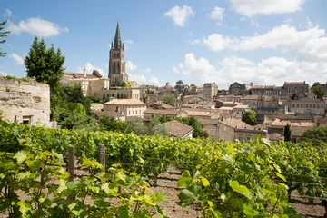 Fotobehang landschapsmening van het dorp Saint Emilion in de regio Bordeaux in Frankrijk © OceanProd