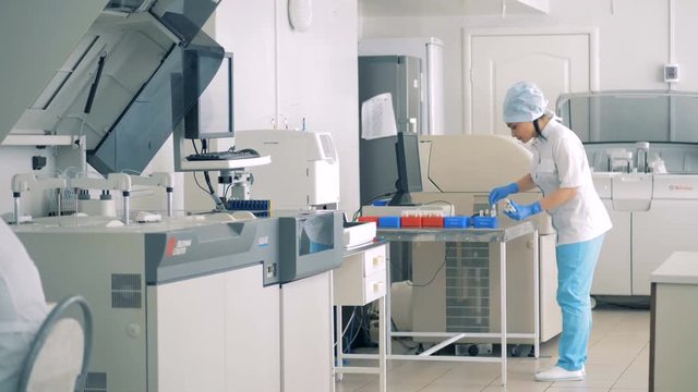 Pharmacy lab engineer places plastic tubes on a rack.