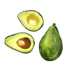 Watercolor hand-painted green healthy avocado illustration set on white background