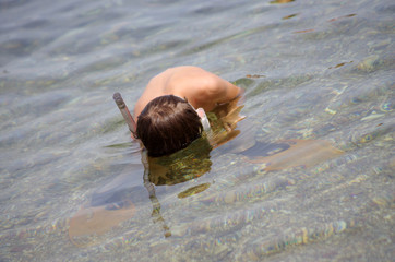 découverte aquatique - snorkeling